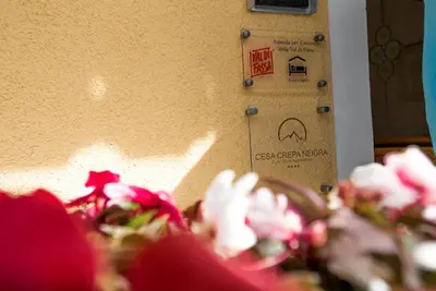 a bunch of flowers in front of a door at Appartamenti Cèsa Crepa Neigra in Canazei