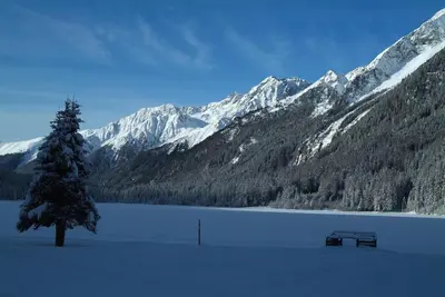 a tree and two benches in front of a snow covered mountain at Residence Vis à Vis in Rasùn di Sotto