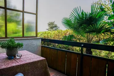 a balcony with a table and a palm tree at Residence Greymold in Rifiano