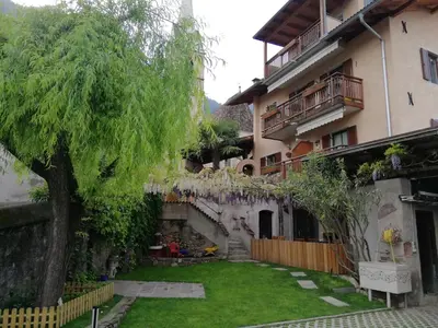 a courtyard of a building with a tree in front of it at Haus Möltner - Apartment 1927 in Caldaro