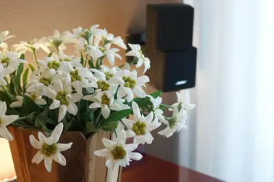 a vase filled with white flowers sitting on a table at Crioli Dolomiti Lodge in Villabassa
