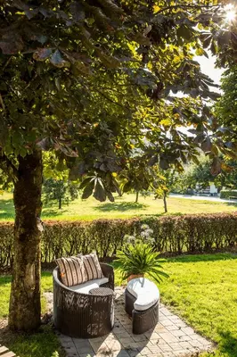 two chairs sitting under a tree in a park at Appartementhaus Lechnerhof in Brunico