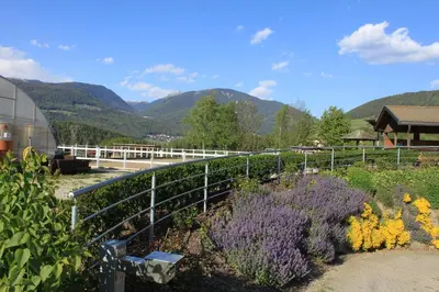 a garden with purple flowers and a fence at Appartementhaus Lechnerhof in Brunico
