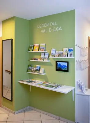 a shelf with books on a green wall at Villa Gottfried Appartment in Eggen