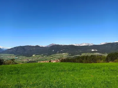 a green field with mountains in the background at Casa Martina in Malosco
