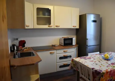 a kitchen with a sink and a refrigerator at Casa Martina in Malosco