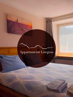 a bedroom with a bed and a window at Appartamenti LITEGOSA casa vacanza 1 in Panchia
