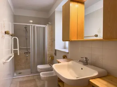 a bathroom with a sink and a toilet and a shower at Appartamenti LITEGOSA casa vacanza 1 in Panchia