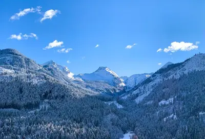 a view of a mountain valley with trees at Appartamenti LITEGOSA casa vacanza 1 in Panchia
