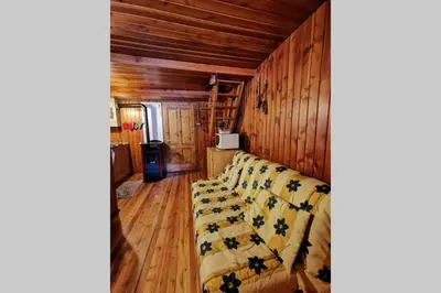 a living room with a couch in a room with wooden walls at Casa Bel Vedere in Falcade