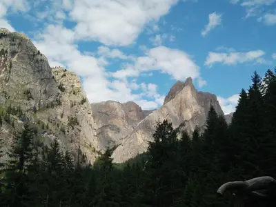 a view of some mountains with trees in the foreground at Chalet Tschogerhof Tiers am Rosengarten Dolomiten in Tires