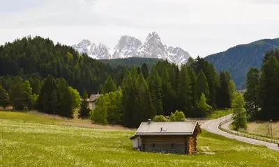 a small cabin in a field next to a road at Park Hotel Sancelso in Bellamonte