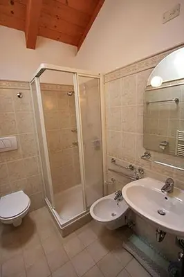a bathroom with a shower and a sink and a toilet at Cesa Roseda in Canazei