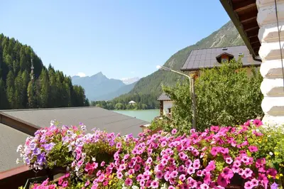 a bunch of flowers on a balcony with a view at Hotel Coldai in Alleghe