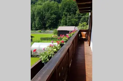 a balcony with flowers on it and a garden at Casa da Rina in Siror