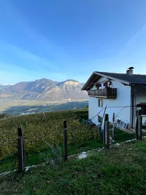 a house in a field with mountains in the background at Voldersberghof in Cortaccia