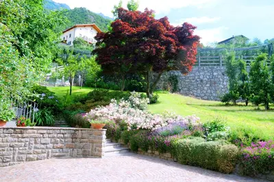 a garden with flowers and a stone wall at Apartment Weitblick - Alpstay in Naturno