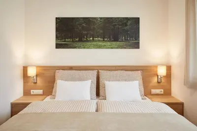 a bedroom with a bed with two pillows at daHoam Appartamenti in Rasùn di Sotto