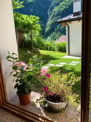 a view of a garden from a window with flowers at Casa Curti in Gosaldo
