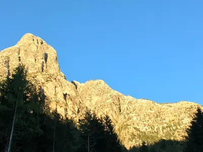 a rocky mountain with trees in front of it at B&B Le Stagioni di Stava in Tesero