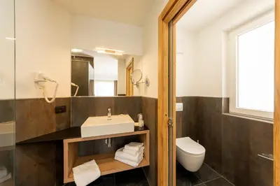 a bathroom with a sink and a toilet and a mirror at Active Alm Hotel in Moena