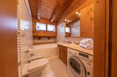 a bathroom with a toilet and a washing machine at Mansarda Belvedere - panoramica e wellness in San Vito di Cadore