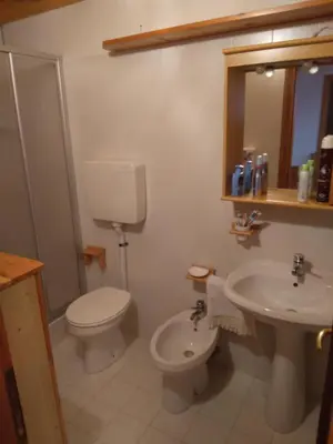 a bathroom with a toilet and a sink at La casa di Grace nella valle incantantata in Carano