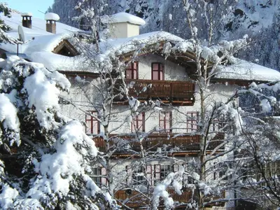 a house covered in snow with trees in front of it at Casa Riz in Campitello di Fassa