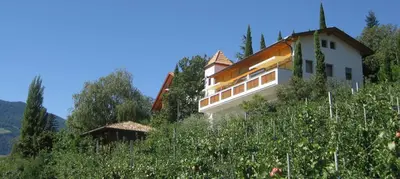 a house on the side of a hill with trees at Zagler Appartments in Tirolo