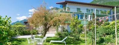 a house with chairs and a tree in the yard at Haus Pobitzer in Caldaro