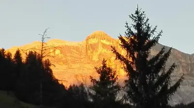 a view of a mountain with trees in the foreground at Apartments B&B Pretermo in Badia