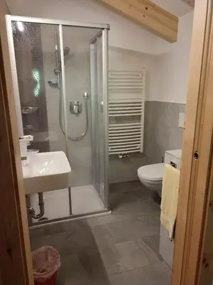 a bathroom with a shower and a sink and a toilet at Apartments B&B Pretermo in Badia