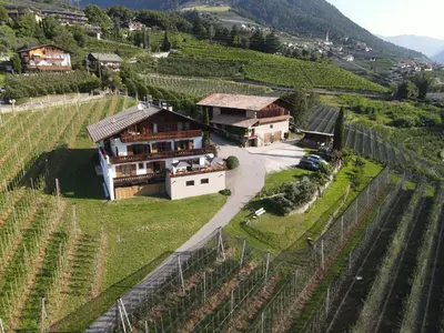 an aerial view of a house in a vineyard at Nössinghof in Tirolo
