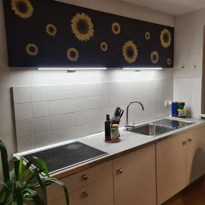 a kitchen with a sink and a counter with suns on the wall at Sarah's nest - your mountain resort in Villa Ottone