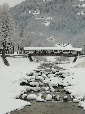 a herd of sheep walking across a river in the snow at Appartamento Edelweiss in Fiera di Primiero