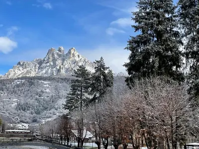 a snow covered mountain in the distance with trees at Appartamento Edelweiss in Fiera di Primiero