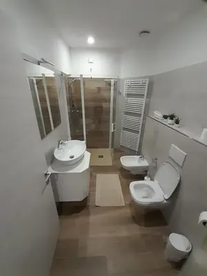 a bathroom with a toilet and a sink and a shower at B&B ANGELA Valdinon in Predaia