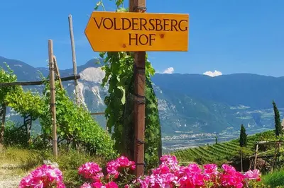 a sign for a winery in a vineyard with pink flowers at Für 4-6 Wohnhaus im Weinberg - Voldersberghof in Penone