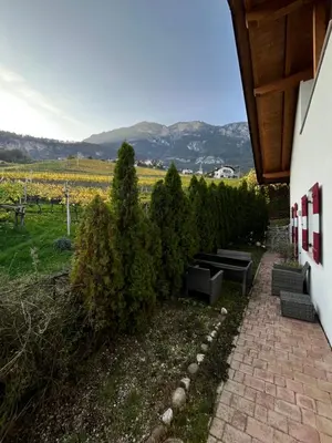 a patio with benches and a view of a vineyard at Für 4-6 Wohnhaus im Weinberg - Voldersberghof in Penone