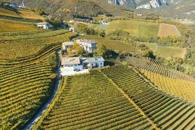 an aerial view of a house in a vineyard at Für 4-6 Wohnhaus im Weinberg - Voldersberghof in Penone
