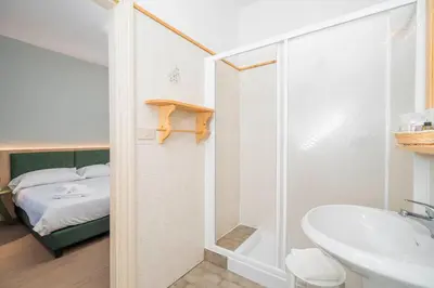 a bathroom with a shower and a toilet and a sink at Hotel Al Sasso di Stria in Andraz