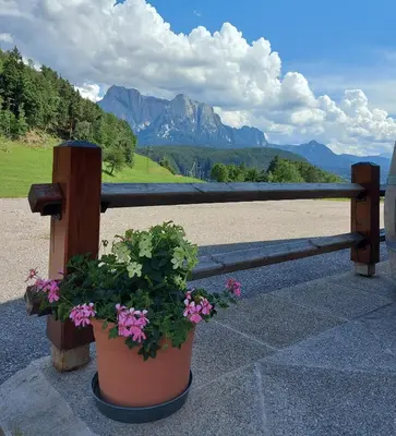 a bench with two potted plants and a view of mountains at B&B Gasthaus Lieg in Castelrotto