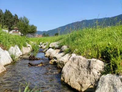 a stream of water with rocks in a field at Maurerhof Apartments Kronplatz in San Lorenzo di Sebato