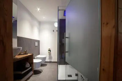 a bathroom with a shower and a sink and a toilet at B&B fiordimelo in Cavalese