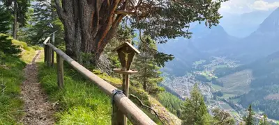 a wooden sign on a hill next to a tree at Appartamento Cesa Lamar in Canazei