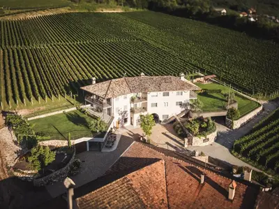 an aerial view of a house in a vineyard at Nofnerhof in Appiano sulla Strada del Vino