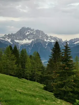a green hill with trees and a snow covered mountain at Hotel Rosalpina in Rocca Pietore