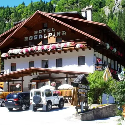 Hotel Rosalpina
