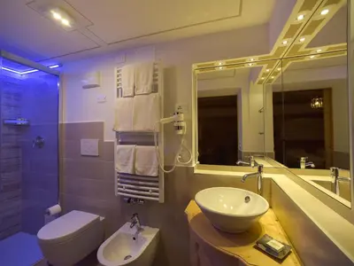 a bathroom with a sink and a toilet and a mirror at Hotel Cesa Padon in Arabba