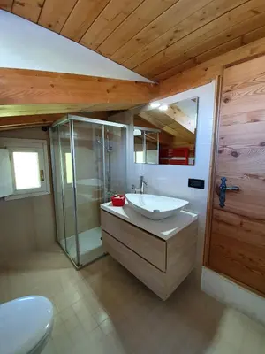 a bathroom with a sink and a shower and a toilet at B&B Cristallo in Cortina dʼAmpezzo